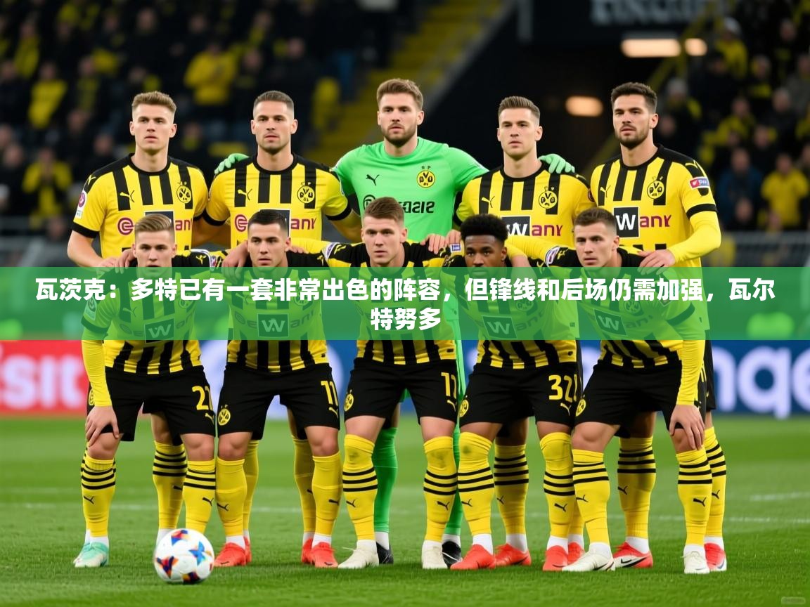 2025米兰体育瓦茨克:多特已有一套非常出色的阵容,但锋线和后场仍需加强,瓦尔特努多