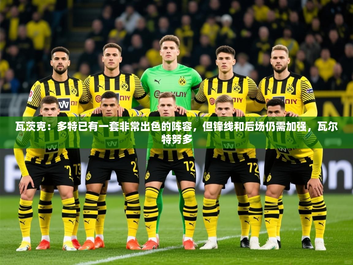 2025米兰体育瓦茨克:多特已有一套非常出色的阵容,但锋线和后场仍需加强,瓦尔特努多