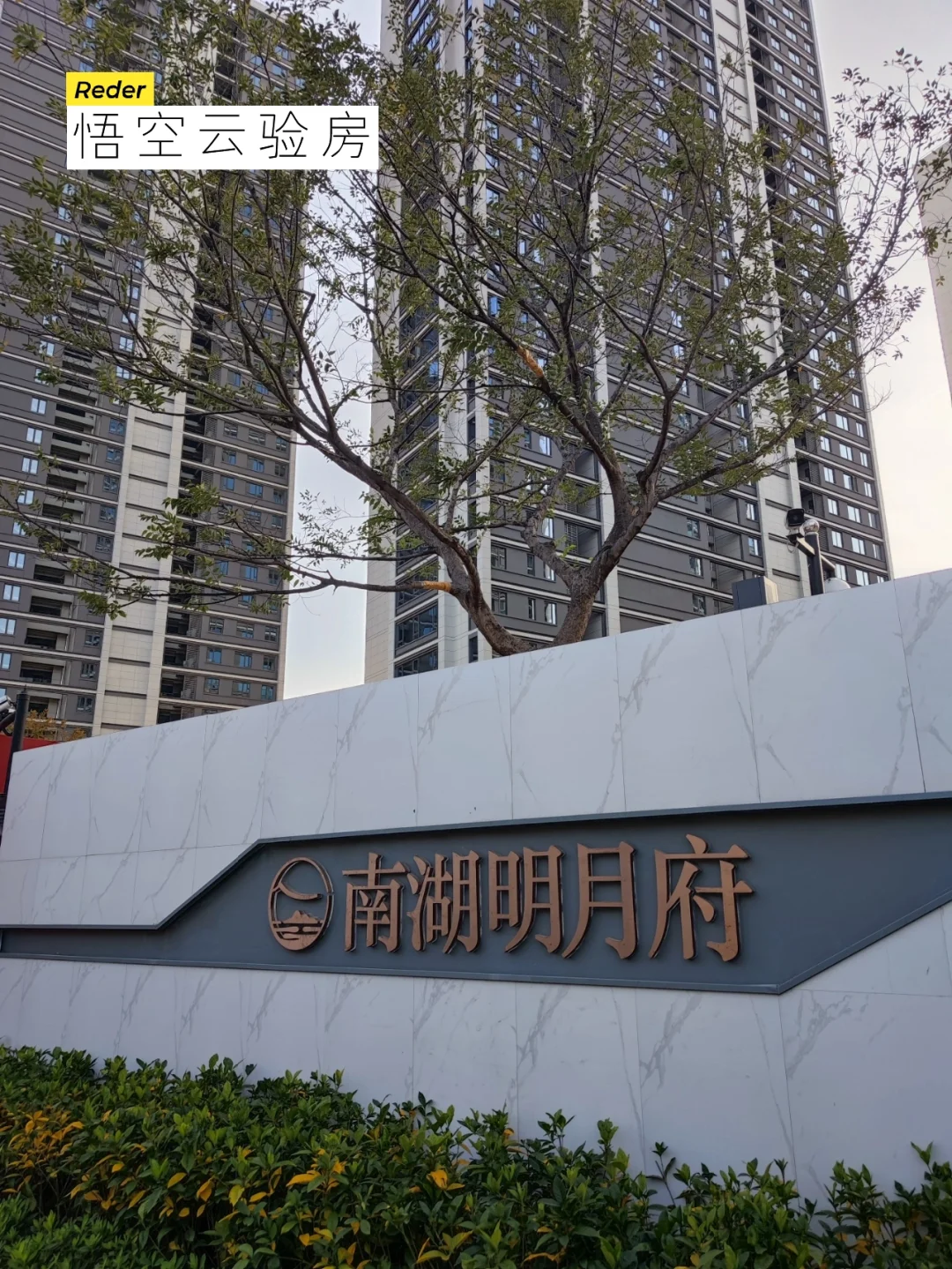 杭州绿城登顶胜场，喜悦无限